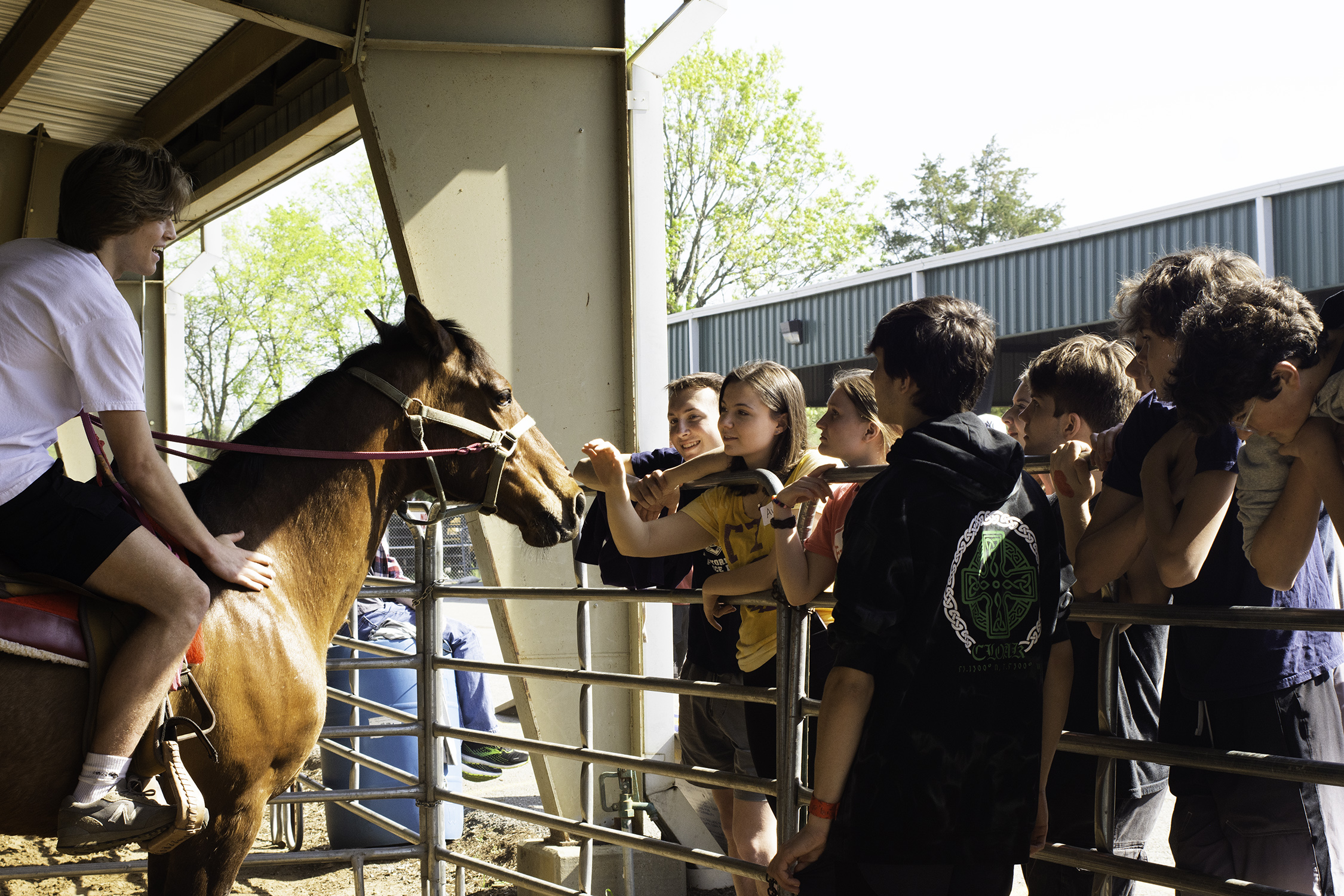 Whip Crackin' Rodeo, Wilson County